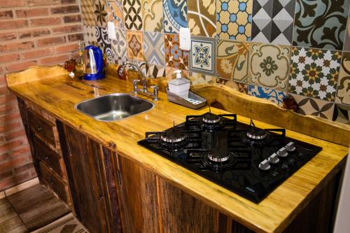 a kitchen counter with a stove and a sink at Ninho das Águias Cabana in Nova Petrópolis