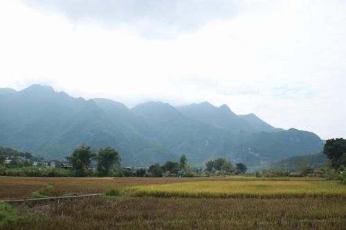 a field with mountains in the background and a field with trees at Mai Chau Countryside Homestay in Mai Chau