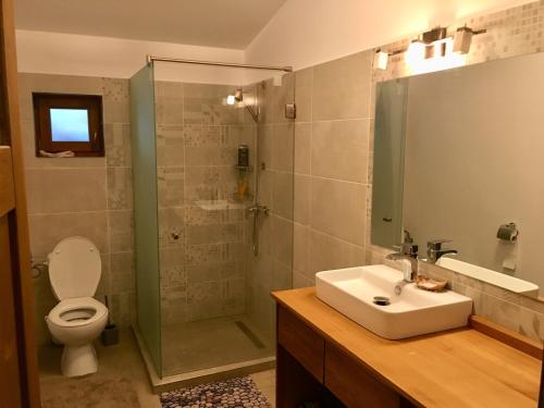 a bathroom with a shower and a sink and a toilet at SOHO Lodge Rasnov in Râşnov