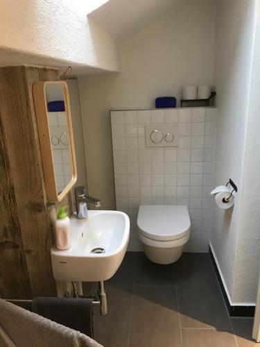 La salle de bains est pourvue de toilettes blanches et d'un lavabo. dans l'établissement BnB chezlise, à Urnäsch