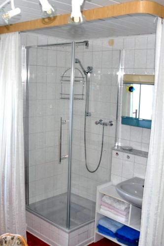 a bathroom with a shower and a sink at Ferienwohnung Weidler 1 in Saalfeld