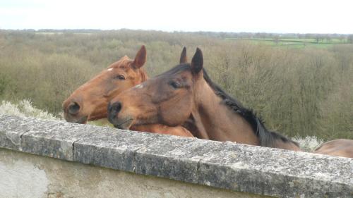Gallery image of Domaine de Montgenoux in Prissac