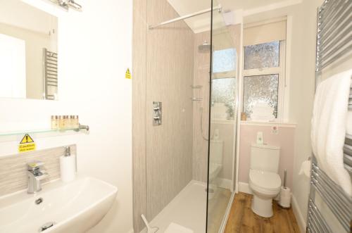 a bathroom with a shower and a sink and a toilet at The Stags Head Apartment in Inverness