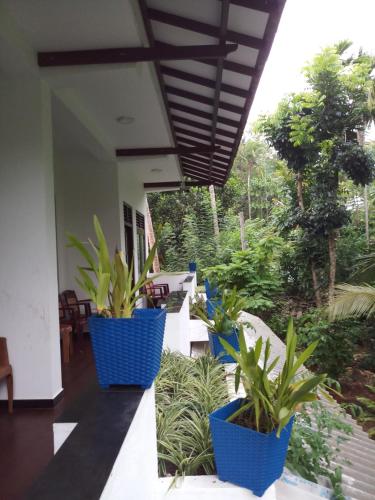 three blue potted plants sitting on the side of a building at Piumi House in Hiriketiya
