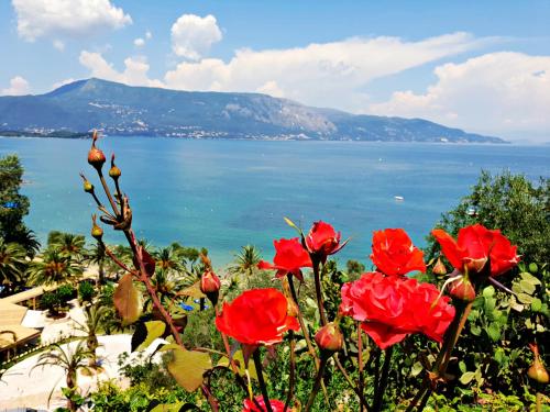 a group of red flowers with a view of the ocean at Dimitra Apartments K in Kommeno