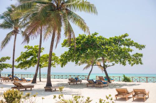 a beach with chairs and palm trees and the ocean at VRclub Paje Palms Beach Resort in Paje
