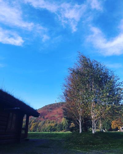 a hill with two trees in a field with a house at Log home village in Ulverston