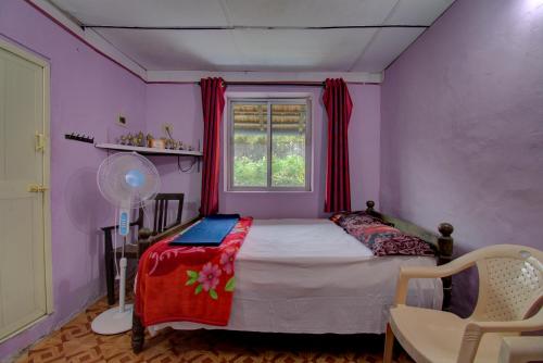 een slaapkamer met een bed met paarse muren en een raam bij Chuppi Homestay in Madikeri