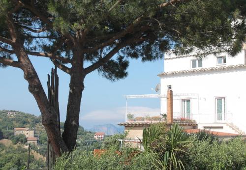 a white house with a tree in the foreground at Sunset House in Massa Lubrense