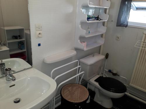 ラ・モンジーにあるGrand appartement Béro Bistoの小さなバスルーム(洗面台、トイレ付)