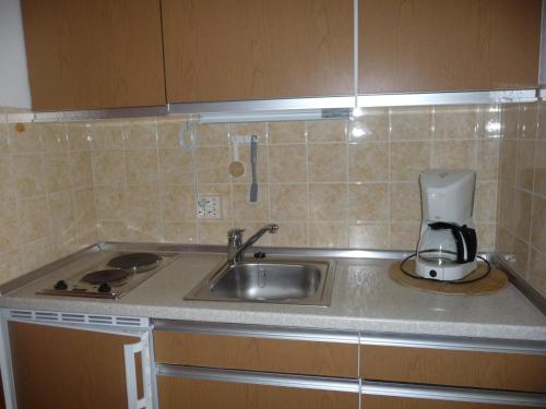 a kitchen counter with a sink and a coffee maker at Chalet Swiss - App.Nelles in Bad Füssing