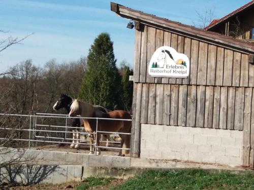 two horses standing behind a fence next to a building at Ferienwohnung auf dem Erlebnisreiterhof Kreipl in Grattersdorf