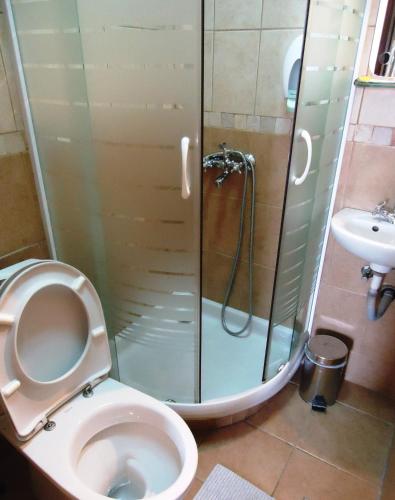 a bathroom with a shower and a toilet and a sink at Hotel Pelikan in Virpazar