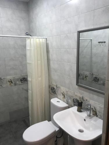 a bathroom with a toilet and a sink and a mirror at Guest house Abovyan street in Yerevan