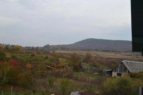 Φυσικό τοπίο κοντά σε αυτός ο ξενώνας
