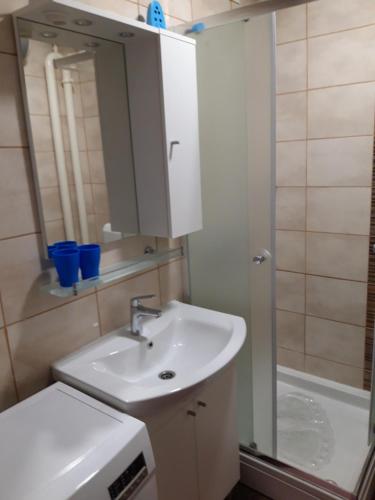 a bathroom with a sink and a shower at Apartman Centros in Osijek