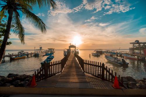 a dock with boats in the water at sunset at Splash Inn Dive Resort & Villas in West End