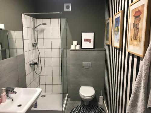 La salle de bains est pourvue d'une douche, de toilettes et d'un lavabo. dans l'établissement Apartament Bulwary Warty, à Śrem