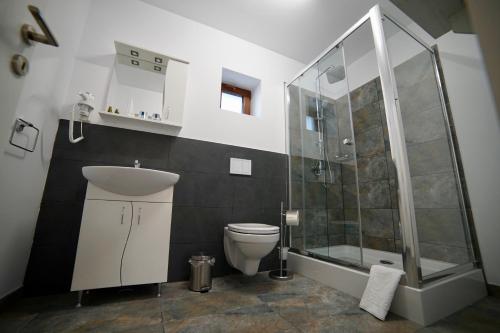 La salle de bains est pourvue d'une douche, de toilettes et d'un lavabo. dans l'établissement Pensiunea Rustic, à Hunedoara