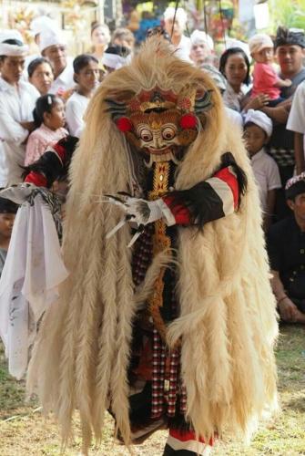 a person wearing a mask and a lion costume at Halumba Eco Villa Bali in Tejakula