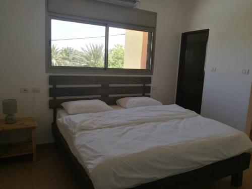 a bedroom with a large bed with a window at Mool Gilboa - מול גלבוע in Bet Sheʼan