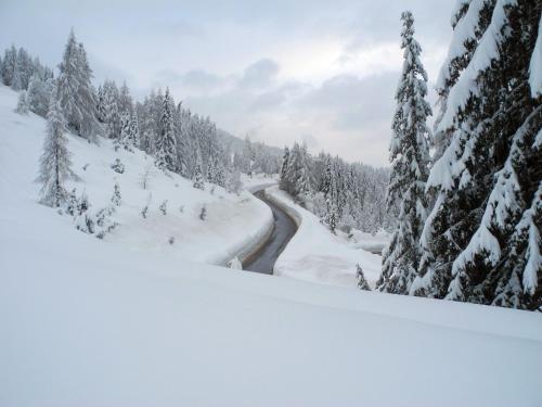a snow covered road in the middle of a snow covered forest at Apartments Bergblick in Sonnenalpe Nassfeld