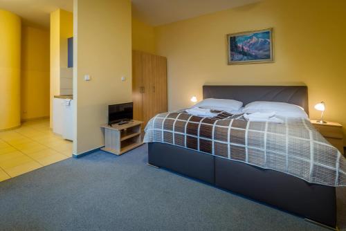 a bedroom with a large bed and a television at Miramonti Apartmány in Vysoke Tatry - Horny Smokovec