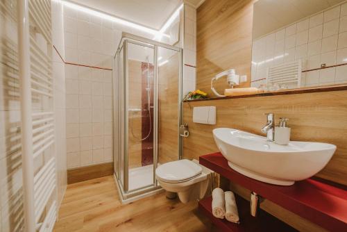 y baño con lavabo, aseo y ducha. en Hotel Berglandstübel en Hammerbrücke