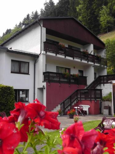 a building with red flowers in front of it at Pension zum Ritter in Katzhütte