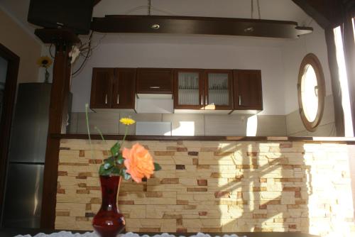 une cuisine avec un vase et une fleur sur un comptoir dans l'établissement Agrodomki Okej -Dom Kasjan, à Gardna Wielka