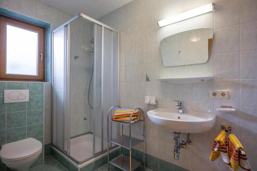 ein Bad mit einem Waschbecken, einer Dusche und einem WC in der Unterkunft Lippnerhof in Aschau