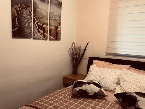 Voodi või voodid majutusasutuse Apartments Aleksandar toas