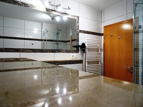 y baño con espejo grande y ducha. en Alte Kelterei, en Dresden