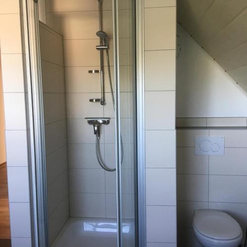 a shower in a bathroom with a toilet at Appartement -Ferienwohnung in Stadtallendorf