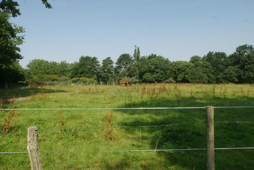 a fence in a field with horses in the background at Le Cèdre Bleu in Grosrouvre