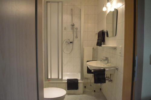 een badkamer met een douche, een toilet en een wastafel bij Pause in Willingen