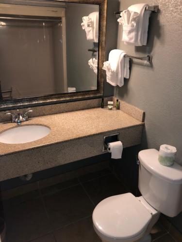 a bathroom with a sink and a toilet and a mirror at Latham Inn in Latham