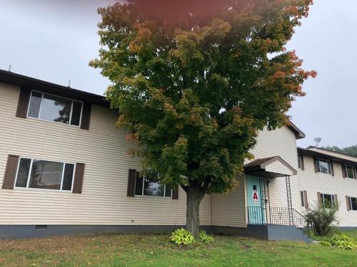 a tree in front of a house at Latham Inn in Latham