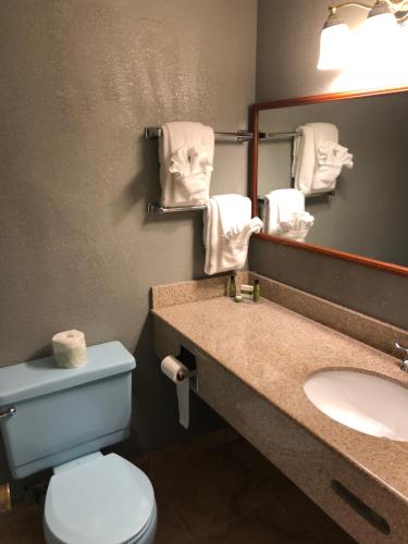 a bathroom with a sink and a toilet and a mirror at Latham Inn in Latham