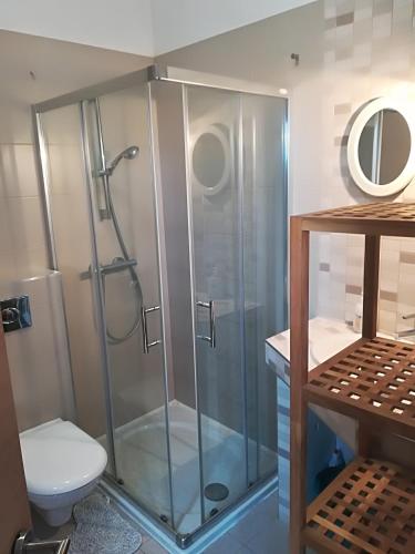a bathroom with a shower and a toilet at House Marijana Sibenik in Zablaće