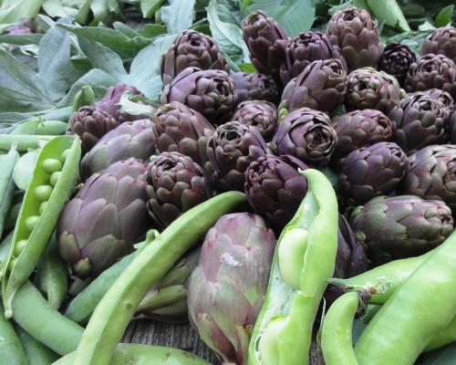 a pile of artichokes and other vegetables on a table at Agriturismo Casa Rosa in Offida