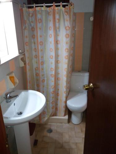 a bathroom with a sink and a toilet and a shower curtain at Christina Pansion in Kokkari