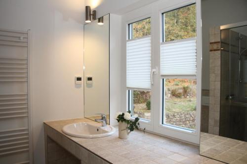 a bathroom with a sink and two windows at Haus Menuett in Bad Schandau