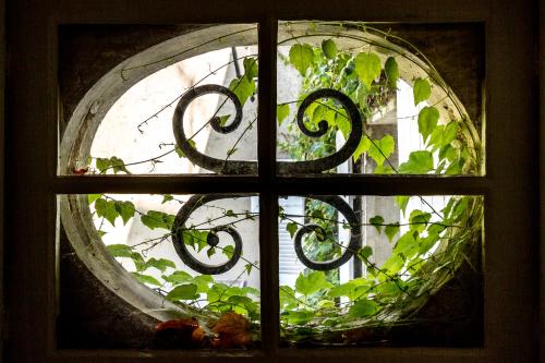 a window with a view of a plant at Le Fassardy in Châteauroux