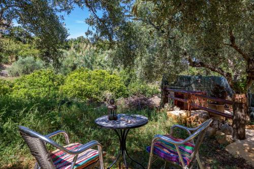 Κήπος έξω από το The Olive House