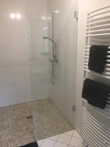 a bathroom with a shower with a glass door at Ferienglück Lindwedel in Lindwedel