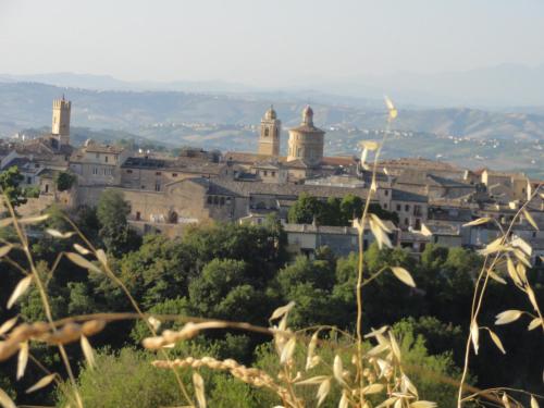 a view of a city from the top of a hill at Agriturismo Casa Rosa in Offida