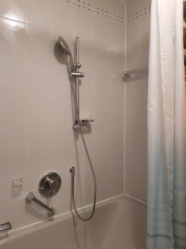 y baño con ducha y cortina de ducha. en Haus Rottachbrücke May, en Tegernsee