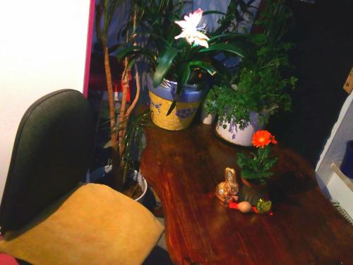 a wooden table with two potted plants on it at CityCentre room for 1 female persons - alternative plus 1 child in Frankfurt/Main