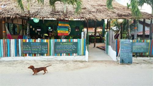 a small dog walking in front of a store at Chief Mau Moalboal Cebu in Moalboal